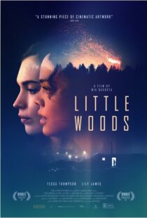 دانلود فیلم Little Woods 201822292-1691029975