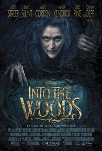 دانلود فیلم Into the Woods 20143675-1728461345