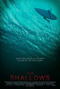 دانلود فیلم The Shallows 20166608-1351066599