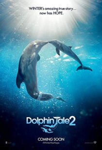 دانلود فیلم Dolphin Tale 2 201421312-546934406