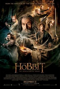 دانلود فیلم The Hobbit: The Desolation of Smaug 2013196262-2132417111