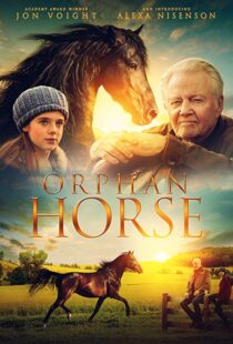 دانلود فیلم Orphan Horse 20188125-1420983997