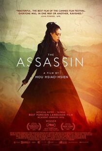 دانلود فیلم The Assassin 201513760-221958663