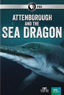 دانلود مستند Attenborough and the Sea Dragon 20188753-1024728377