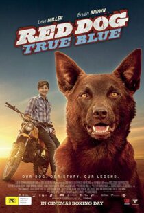 دانلود فیلم Red Dog: True Blue 20168899-273345885