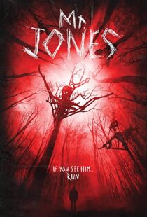 دانلود فیلم Mr. Jones 201337611-1045660994