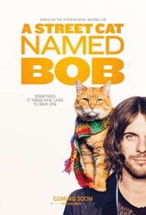 دانلود فیلم A Street Cat Named Bob 201641621-334553395