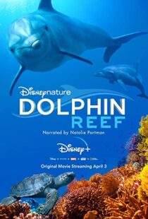 دانلود مستند Dolphin Reef 201838724-1898223670