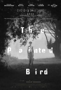 دانلود فیلم The Painted Bird 201943285-1701479701