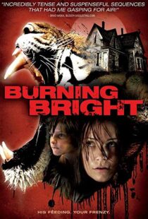 دانلود فیلم Burning Bright 201049964-1893779688