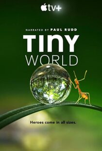 دانلود مستند Tiny World52124-1863866933