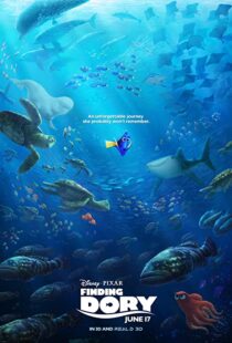 دانلود انیمیشن Finding Dory 201658678-1065782402