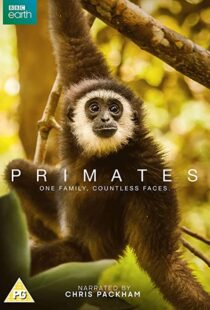 دانلود مستند Primates77865-2020705638