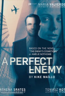 دانلود فیلم A Perfect Enemy 202082295-1852453066