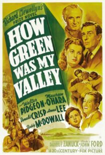 دانلود فیلم How Green Was My Valley 194181855-629597167