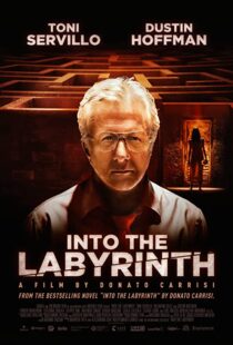 دانلود فیلم Into the Labyrinth 201991141-1858024519