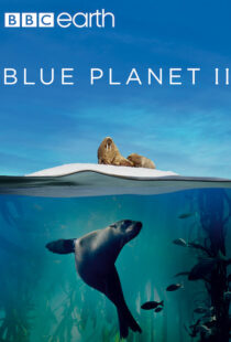 دانلود مستند Blue Planet II100194-112507409