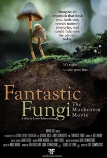 دانلود مستند Fantastic Fungi 2019100518-906063432