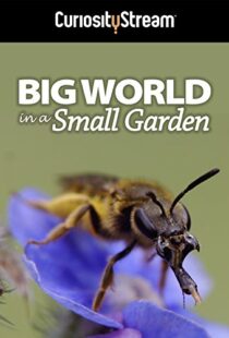 دانلود مستند Big World in a Small Garden 2016102965-698760288