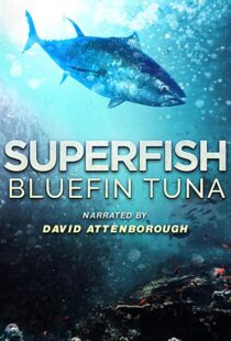 دانلود مستند Superfish Bluefin Tuna 2012101607-1249283521