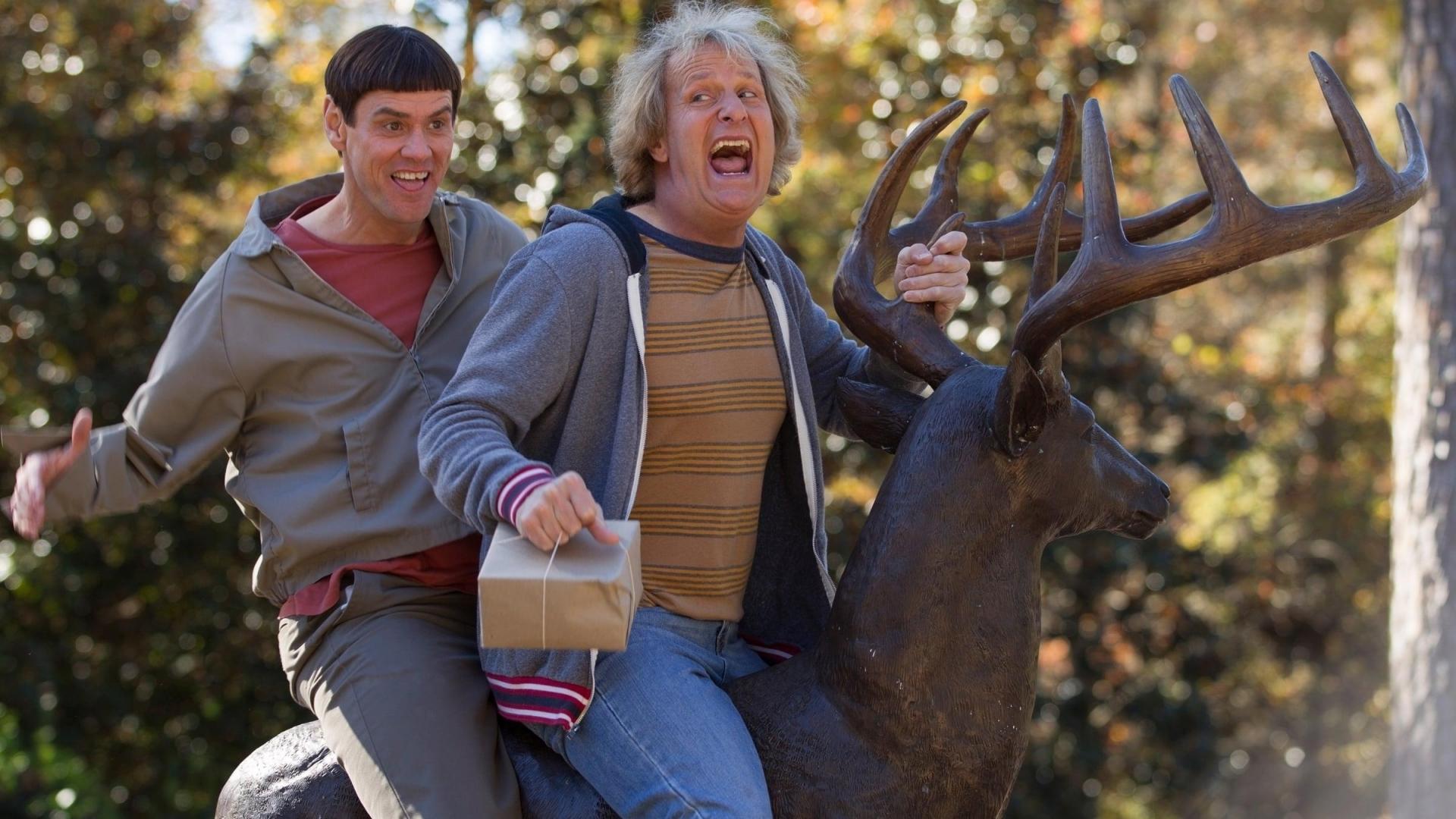 دانلود فیلم Dumb and Dumber to 2014