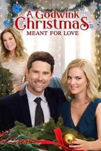 دانلود فیلم A Godwink Christmas: Meant for Love 201931842-1262666394