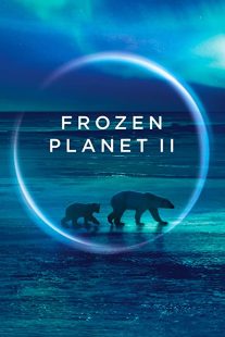 دانلود مستند Frozen Planet II268784-339179368