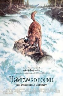 دانلود فیلم Homeward Bound: The Incredible Journey 1993371118-1125730861