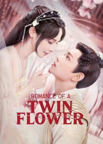 دانلود سریال Romance of a Twin Flower379211-1259119624