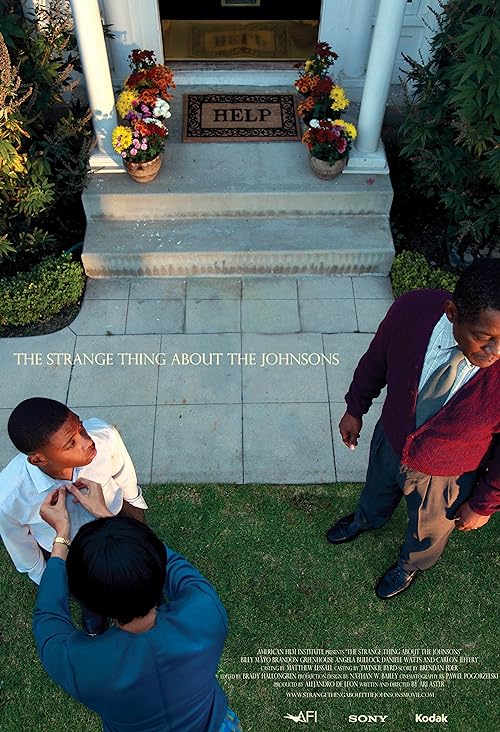 دانلود فیلم The Strange Thing About the Johnsons 2011