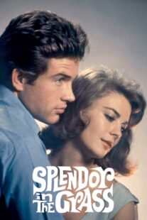 دانلود فیلم Splendor in the Grass 1961382554-161939728