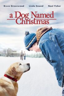 دانلود فیلم A Dog Named Christmas 2009389298-1505958477