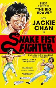 دانلود فیلم Snake Fist Fighter 1973388650-577645520