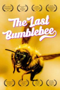 دانلود مستند The Last Bumblebee 2024399140-802382480