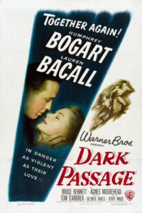 دانلود فیلم Dark Passage 1947398748-1771195743