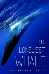 دانلود فیلم The Loneliest Whale: The Search for 52 2021403098-1722563797