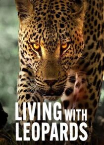 دانلود مستند Living with Leopards 2024400477-1558788561