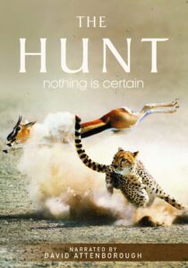 دانلود سریال The Hunt407007-1727702715