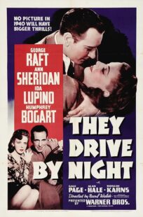 دانلود فیلم They Drive by Night 1940411221-1571774875