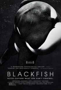 دانلود فیلم Blackfish 2013412328-74421793