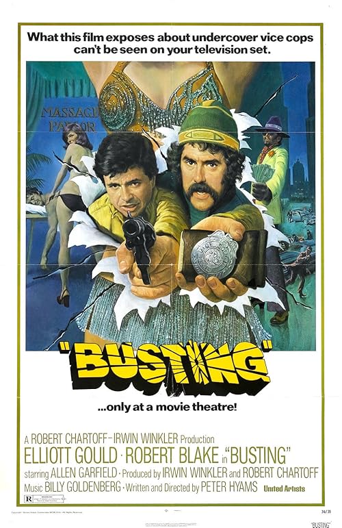 دانلود فیلم Busting 1974