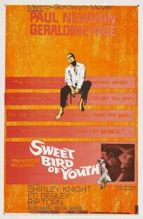 دانلود فیلم Sweet Bird of Youth 1962415738-615504344