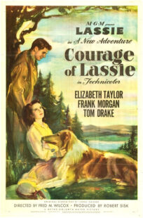 دانلود فیلم Courage of Lassie 1946417427-920233462