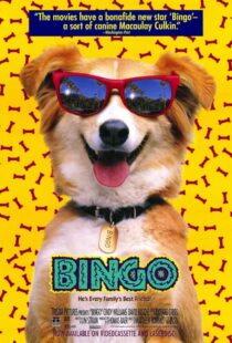 دانلود فیلم Bingo 1991417459-1942467452